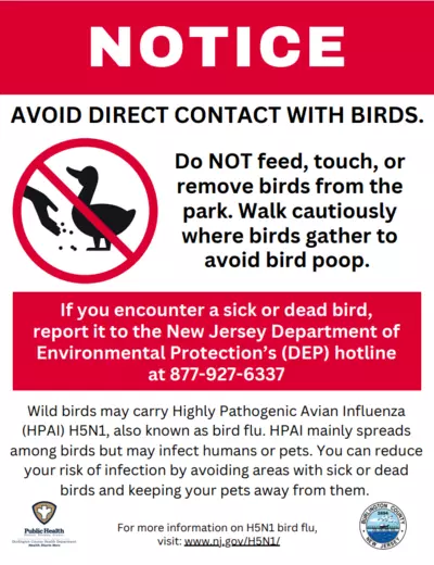 Bird Flu Notice