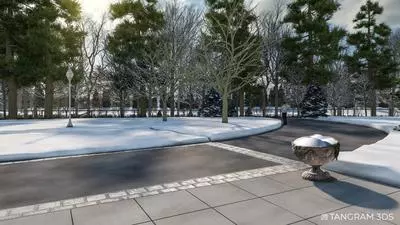 View from neighbor in front of Country Club (winter)