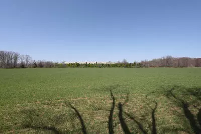 View from farm @ 120 Bordentown-Georgetown Rd