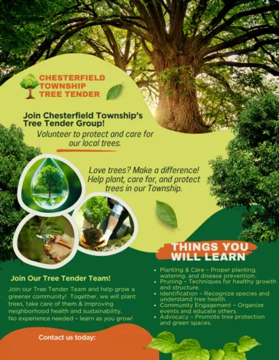 Join our Tree Tenders Team
