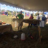 2017 Harvest Festival